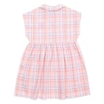 Check Shirt Nashi Dress