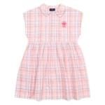 Check Shirt Nashi Dress